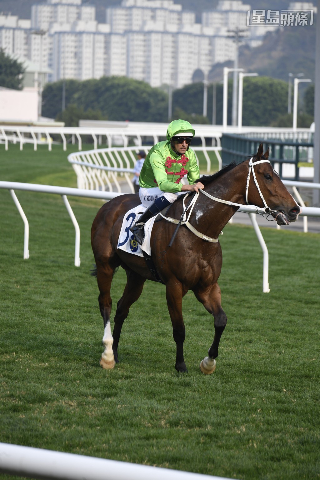 周日鍾易禮暫卜定為「連連有盈」(圖) 、「奔放」、「耀昌勝世」、「勁進駒」、「劍無情」及「加州代表」六駒。