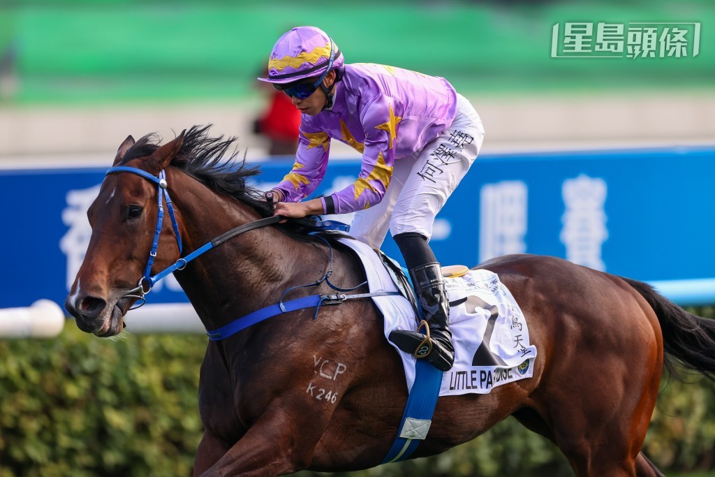 倘若「小鸟天堂」(图) 能于周日扬威香港经典杯，便有机会追随两匹名驹「佳龙驹」（2017年）及「金鎗六十」（2020年）的步伐，包办四岁马经典赛事系列全部三关赛事的冠军。