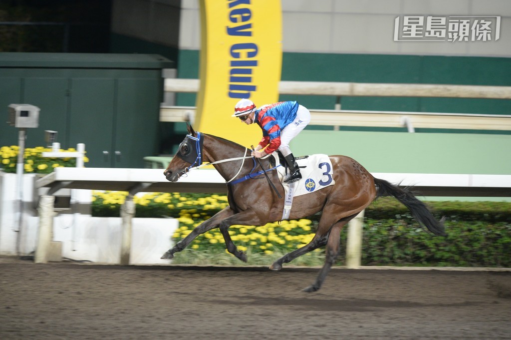 以往鄭鍾華養的「準備就緒」(圖) 曾經在方嘉柏訓練下累積八捷。