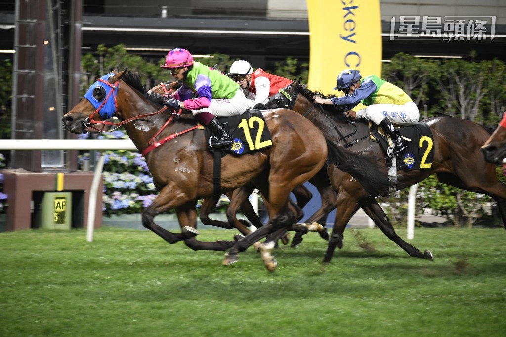 剛周日沙田賽事，巴度無進帳，但今期快活谷賽事，巴度部分坐騎餐士不俗，例如「品德寶寶」(圖) 新勝猶勇；「耀昌勝世」、「快活英雄」近績接近；隨時有力建功，邁向在港策騎生涯新里程。