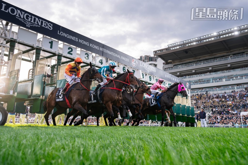 沙田马场于每个香港马季举行十二项一级赛。