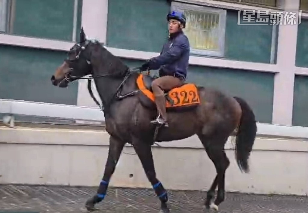 凌国龙与本报记者分享了数张相,有关其新团体马「喜悦欢欣」(K034)的近照。 凌国龙与本报记者分享了数张相,有关其新团体马「喜悦欢欣」(K034)的近照。