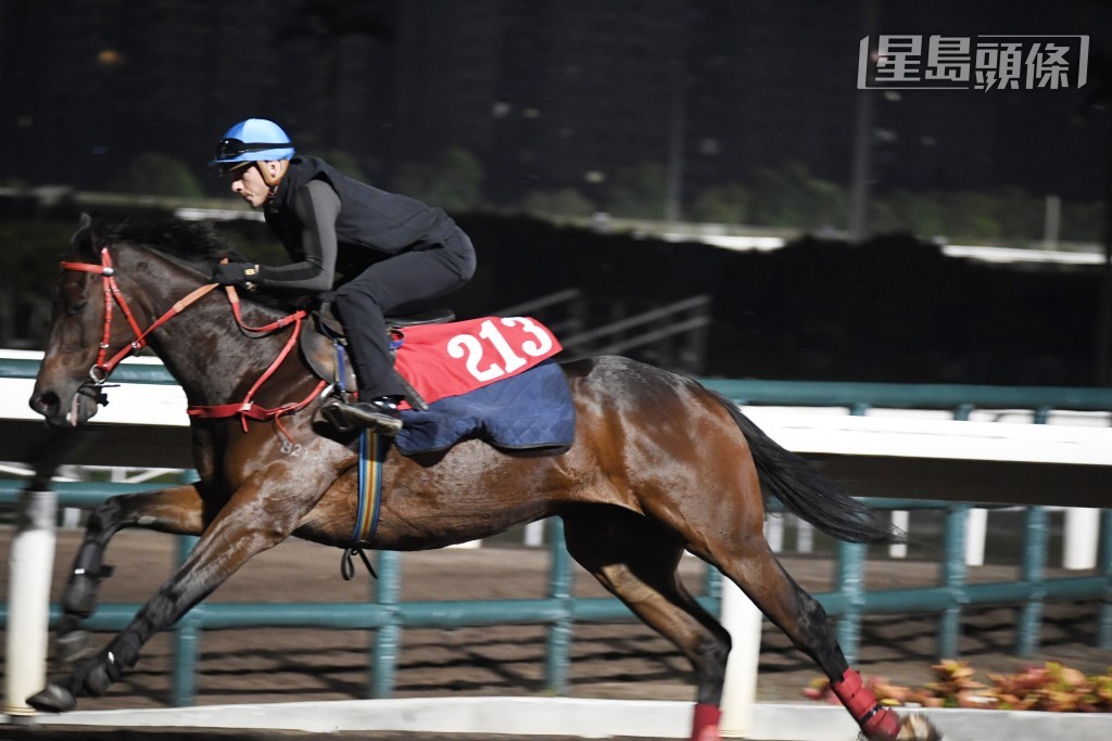 「全才」試跑途中馬鞍向前滑移，鏡頭驚險。