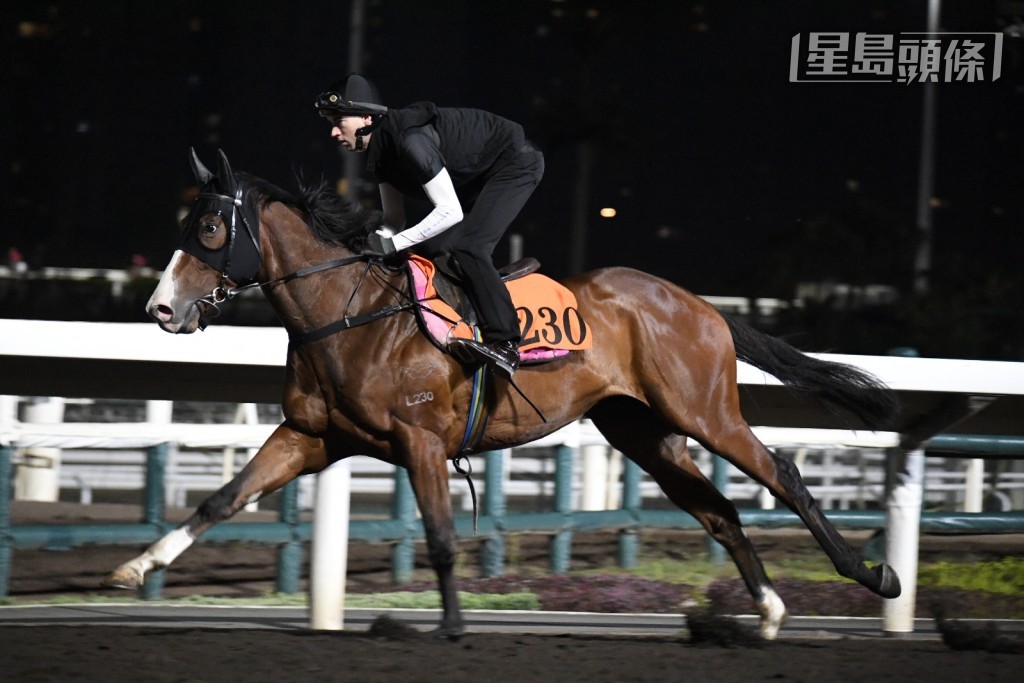 「樱花酒杯」今早由奥尔民在大圈快跳。
