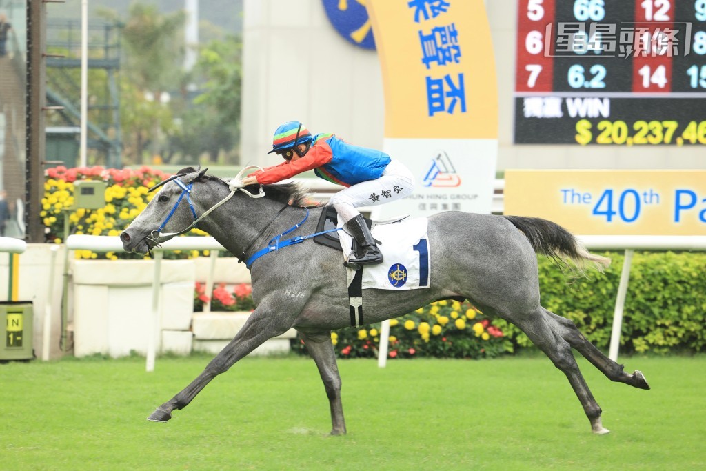 黃智弘在頭場四班條件限制賽,策騎方廄「鈦易搵」大熱贏馬。 黃智弘在頭場四班條件限制賽,策騎方廄「鈦易搵」大熱贏馬。