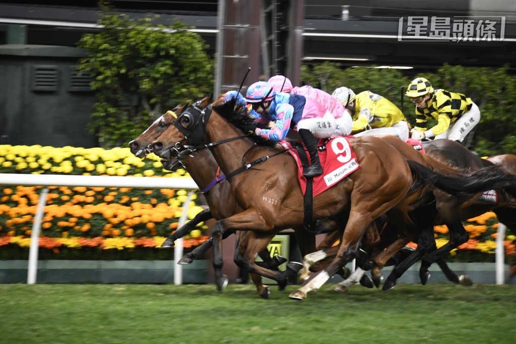 公平团体曾经养过不少马，如「快宝驹」、「冠宝驹」、「耀宝驹」（图）等不乏多捷马。