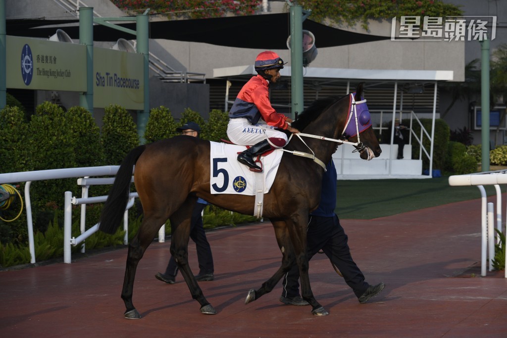 「爆笑」在港跑過兩場，吸收經驗後，今場首次轉戰谷草。