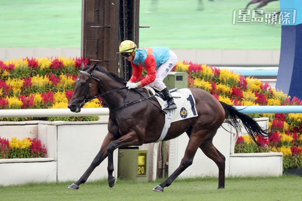 應屆最佳短途馬「嘉應高昇」在潘頓胯下輕勝對手，收韁衝線。