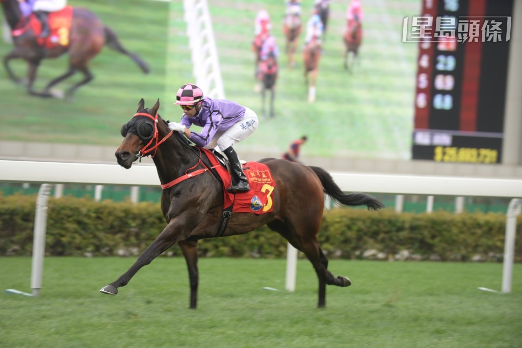 「魅力知友」在港曾勝出六場頭馬。