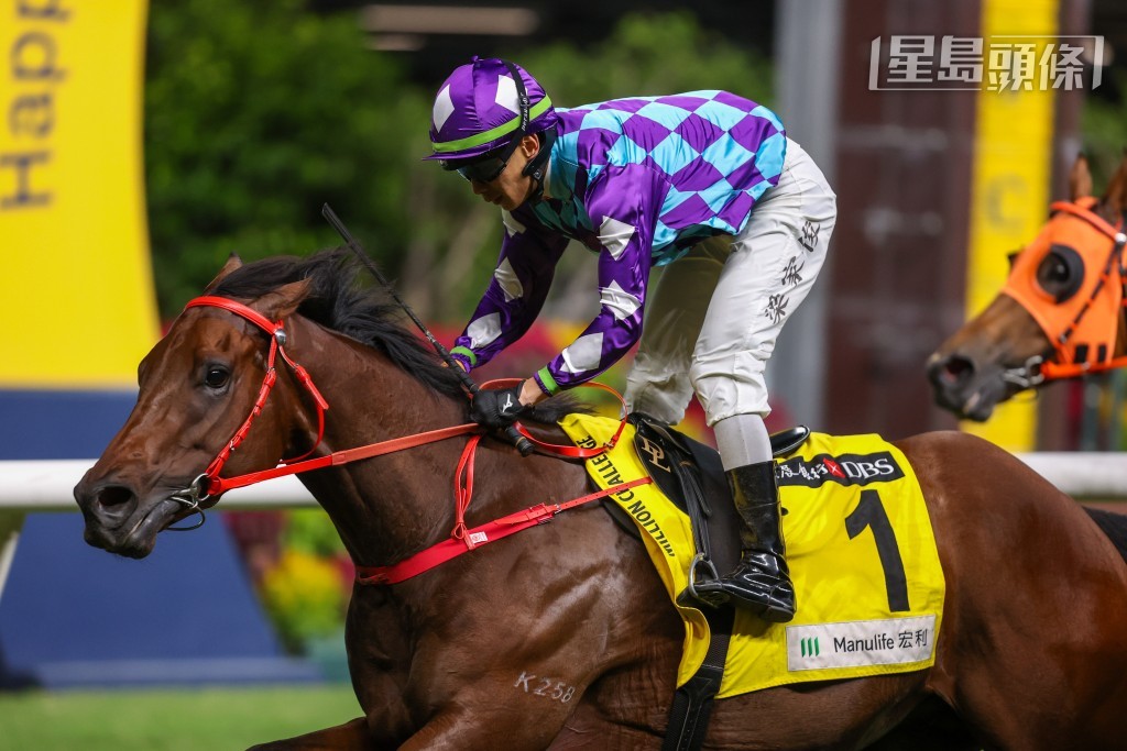 罗富全表示：「『至尊瑰宝』(图) 现况良佳。我们之所以更换骑师是因为梁家俊停赛，我安排了潘顿为牠主辔。由于目前没有其他适合马儿角逐的第二班赛事，所以我们要放手一试，让牠首次竞逐1650米途程。」  