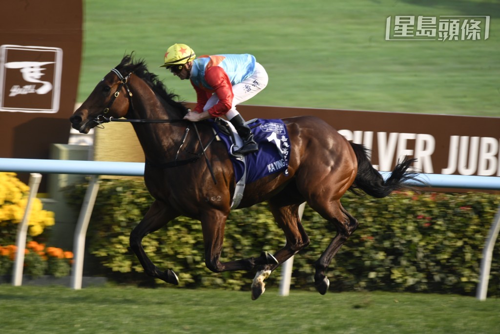 希斯表示今后「嘉应高升」(图) 健康，应可服役至七岁，又或上阵五十次左右，但暂无意安排牠到英国出赛。