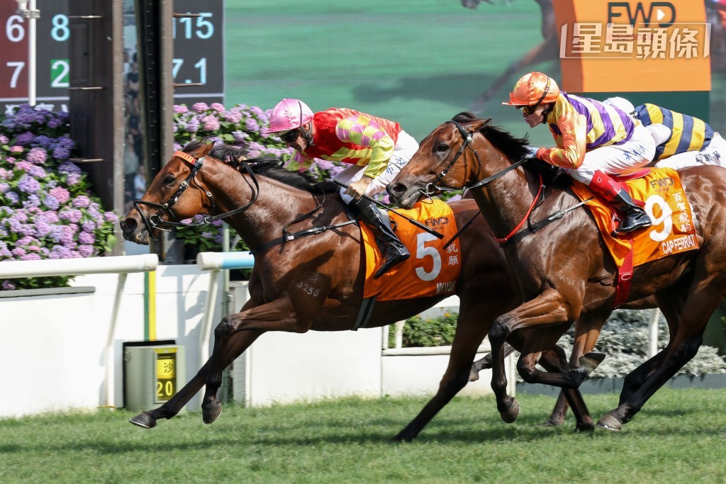 「百賀飛駒」(9號)於4月26日競逐總獎金高達二千四百萬港元的富衛保險冠軍一哩賽(1600米一級賽),在「祝願」之後跑獲亞軍。 「百賀飛駒」(9號)於4月26日競逐總獎金高達二千四百萬港元的富衛保險冠軍一哩賽(1600米一級賽),在「祝願」之後跑獲亞軍。