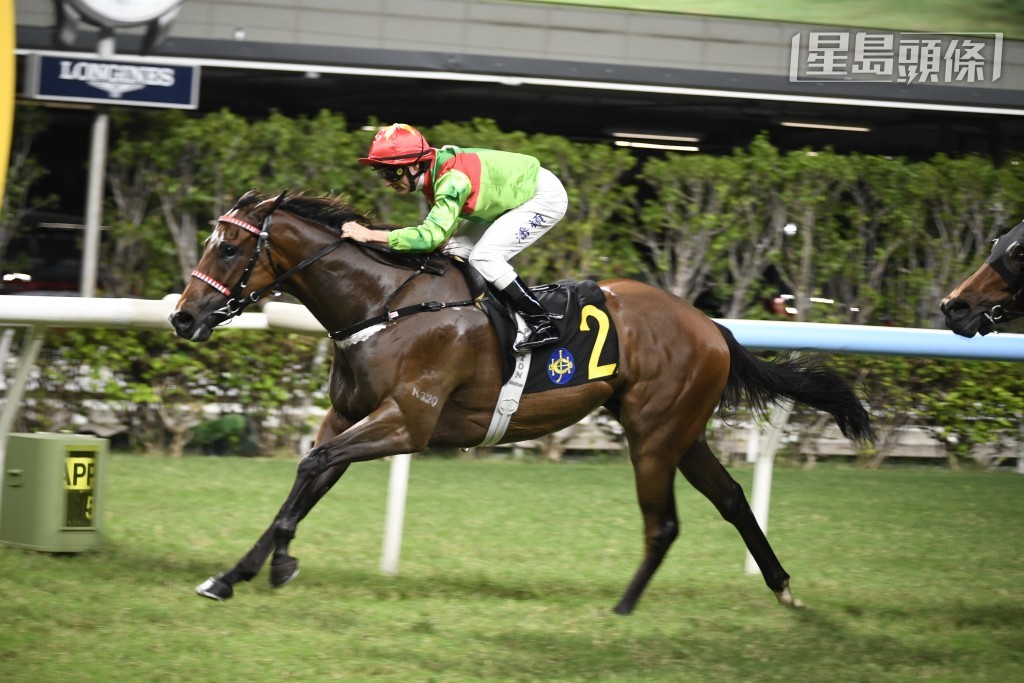 周三晚国际骑师邀请赛，「飞轮霸」(图) 及「非惟侥幸」分别出战第八及九场。