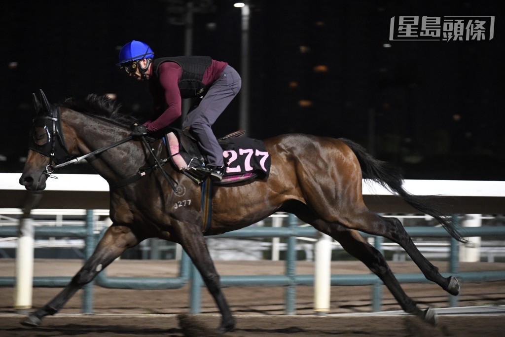 潘頓試「包裝天將」更是焦點，因為試來淡定放鬆，潘頓也情不自禁一再拍馬頸，及後空檔仲到烽火台搵呂健威傾談。