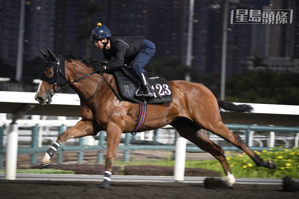 一對「日上」系馬，包括「晶晶日上」和「瑤瑤日上」(圖) 昨朝出跳更充滿動靜，課後米高接馬之餘，並向兩位鞍上人追問。