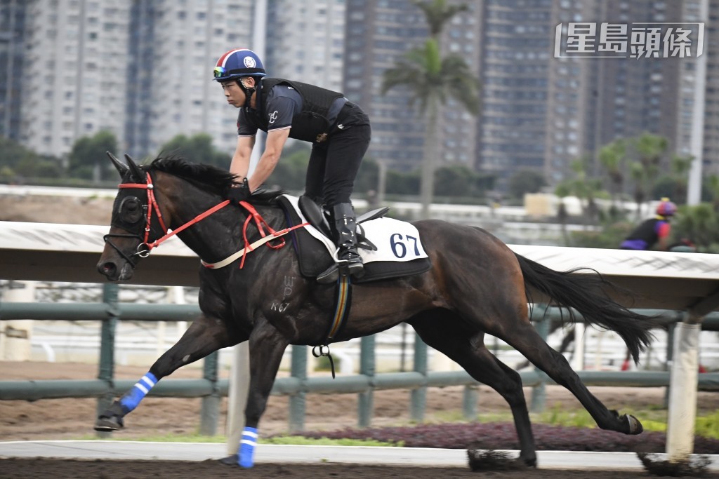 今朝潘頓雖未有親自出試「亮寶」(圖)，不過搵呂健威之前，羅富全特意到機坪搵潘頓密斟。