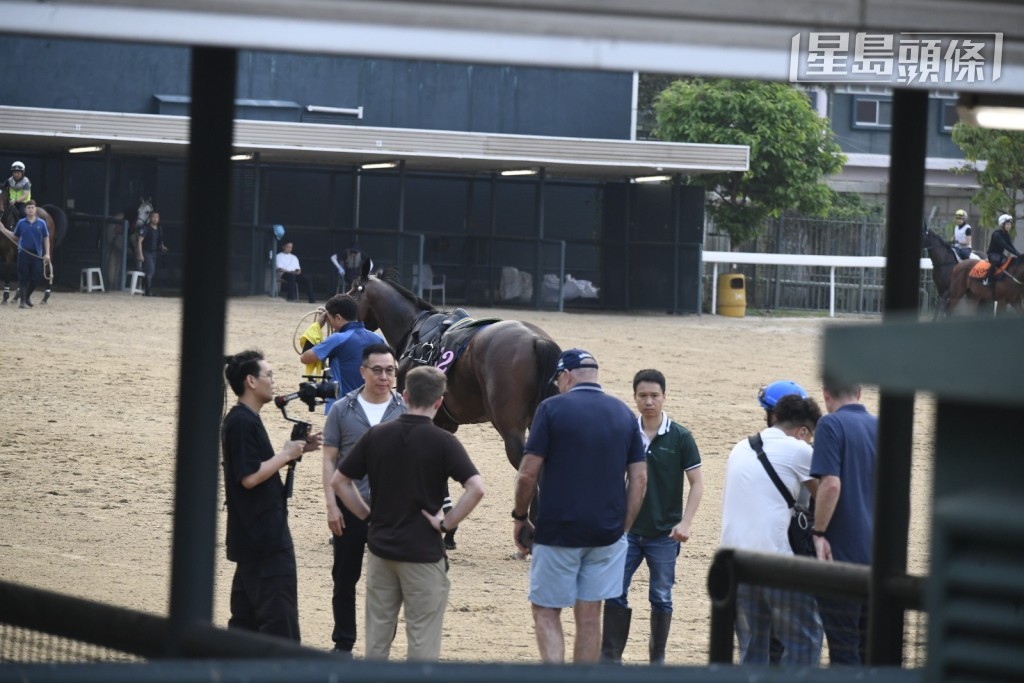 「嘉應高昇」馬主梁錫光一早到場，與希斯及潘頓太太Nicole一起在烽火台觀看馬王的操練。
