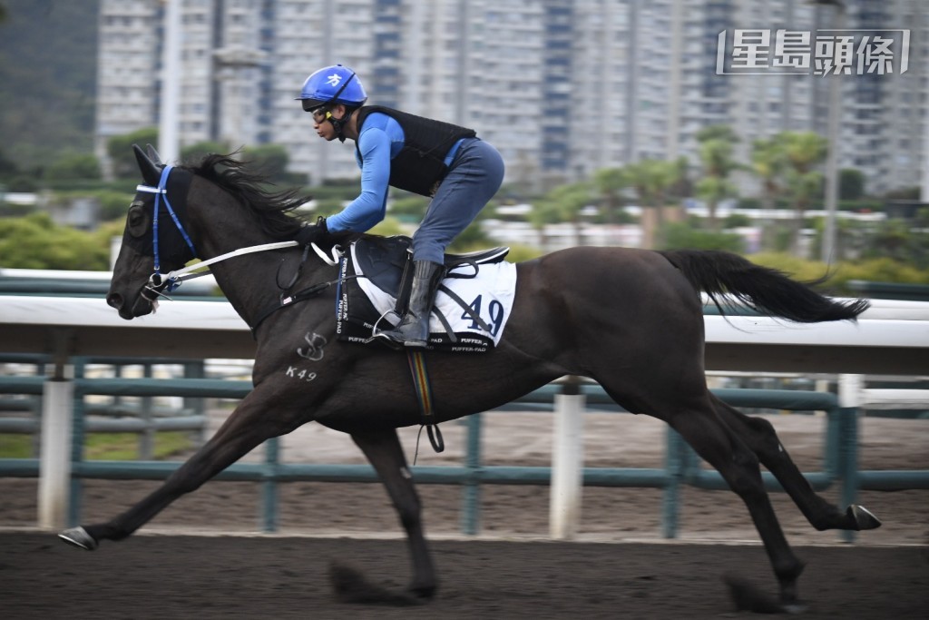 周三晚泥地赛有程马第四场「后无来者」(K049) (图) 。 周三晚泥地赛有程马第四场「后无来者」(K049) (图) 。