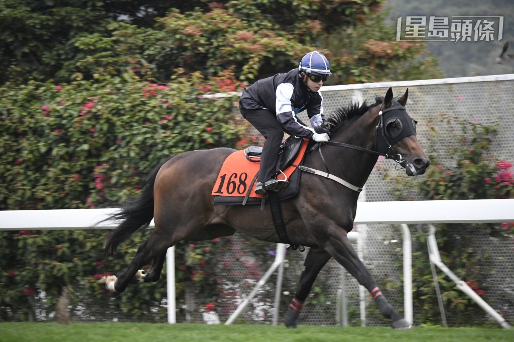 「丞匡掠影」报争年初三第十场三班千二米。