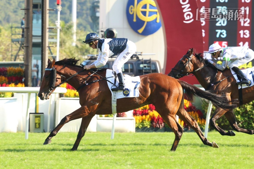 「白鷺金剛」也是潘頓另一匹實力坐騎。