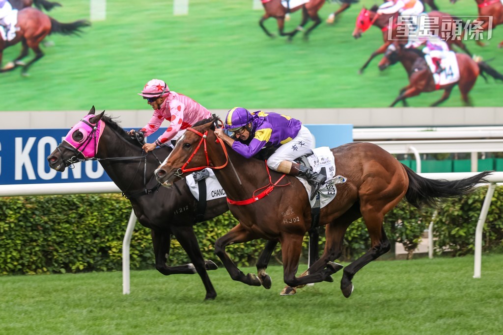 「驕陽明駒」在過終點前及時趕過「禪勝輝煌」摘下錦標。