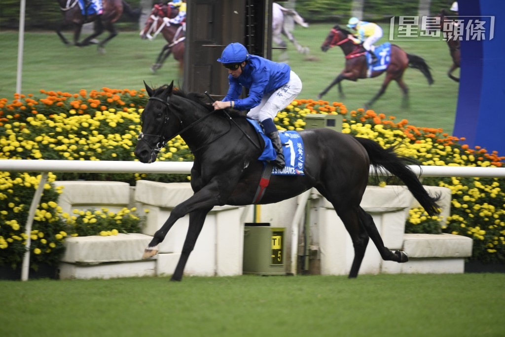 「桀驁之戀」今季賽績良好，目前仍在最佳狀態，更早已證明適合在美國的急彎和短直路馬場競逐，故此應是爭勝分子。