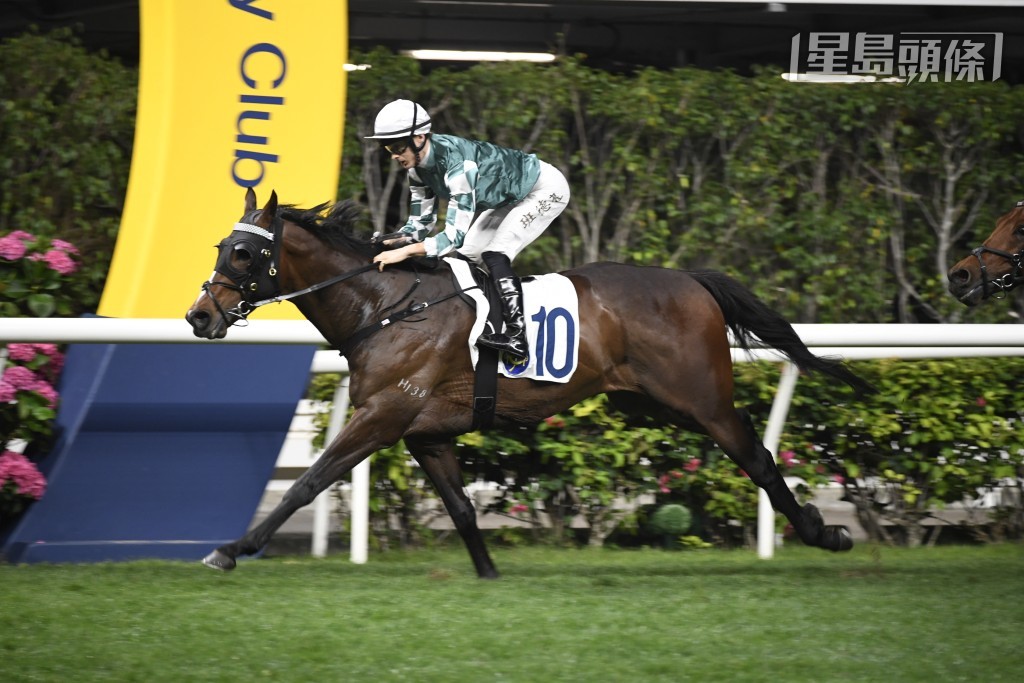 玉龍馬業創辦人張月勝港首匹愛駒「展宏圖」，上季在廖康銘訓練下取得兩場頭馬，表現不錯。