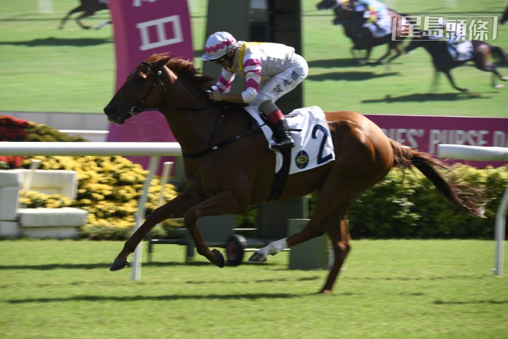 「我為您」在短短三個月內贏五場頭馬。