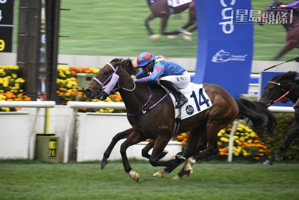 董明朗上季成績唔差，來到今季卻戰績大幅度下滑，而睇番八場頭馬之中，居然有六場來自偉廄，其中一場正是 「始終如一」(圖)。