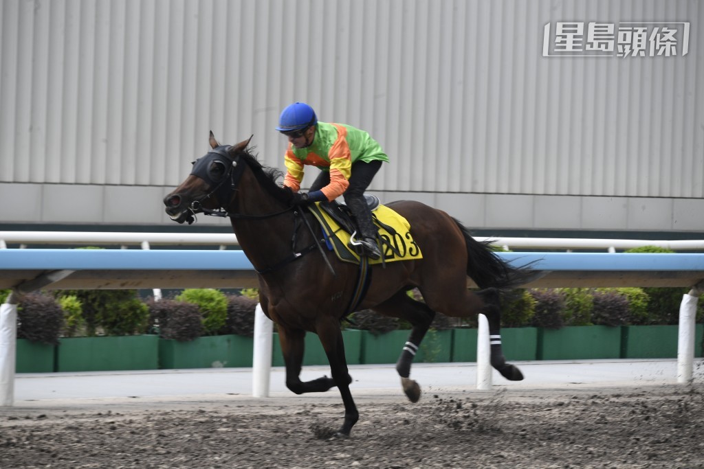 伍鵬志安排「添開心」於四班負重磅上陣，成績如何？