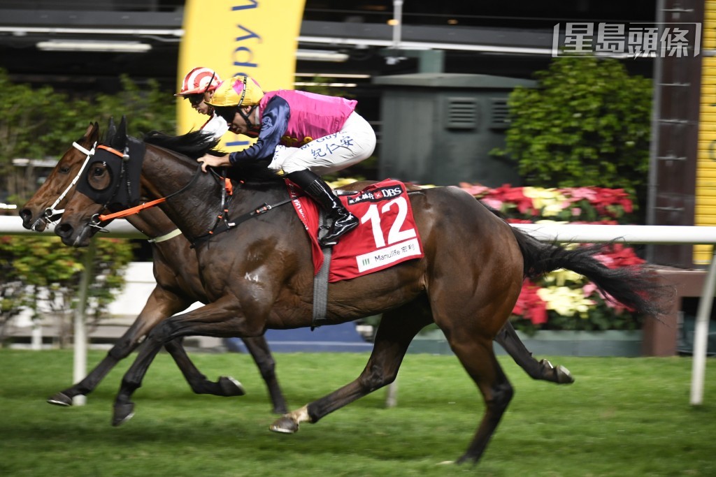 徐雨石對上一次谷戰以「歷險大將」及「豐辰」(圖) 起孖，今季暫時取得11W。
