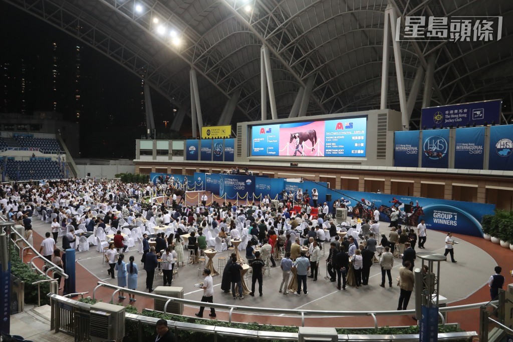 2026年香港國際馬匹拍賣會今晚(七月三日星期五)在沙田馬場馬匹亮相圈舉行。 2026年香港國際馬匹拍賣會今晚(七月三日星期五)在沙田馬場馬匹亮相圈舉行。