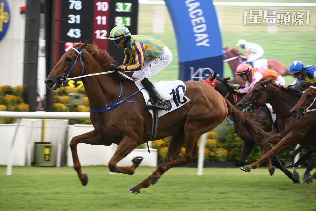 「话你知」(10号) 上场配麦文坚只以短头位见负跑得第二名，马儿的走势回苏，可见马儿近期状态理想。