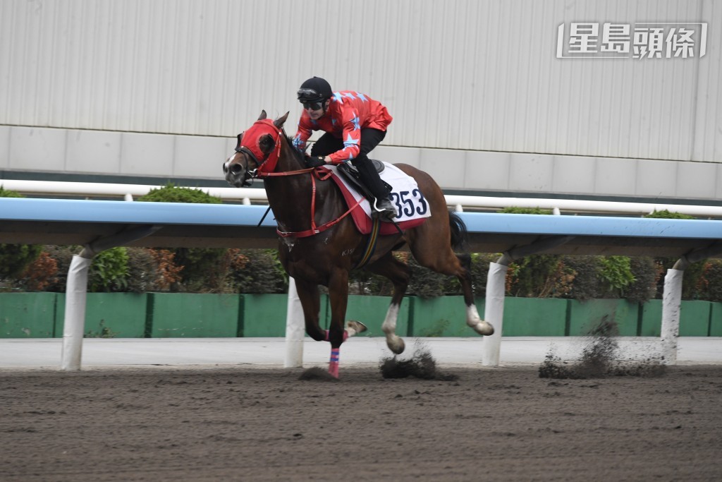 「狼來了」(圖) 和「鼓浪好友」兩駒都有備而來，田泰安希望屆時悉數取得表現。