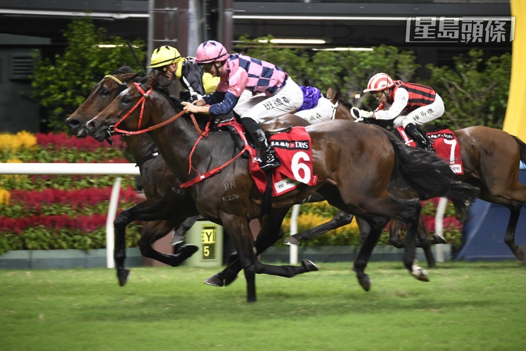  「龙文鞭影」原本由沈集成训练，近期转入方嘉柏马房，据知幕后以争分跑打吡为目标，积极操练。