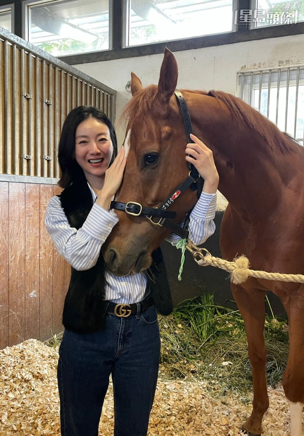 刚周五前新闻女主播周嘉仪前往廖康铭马房，探望爱驹「天下宠儿」，为马儿打打气，给牠一些鼓励。