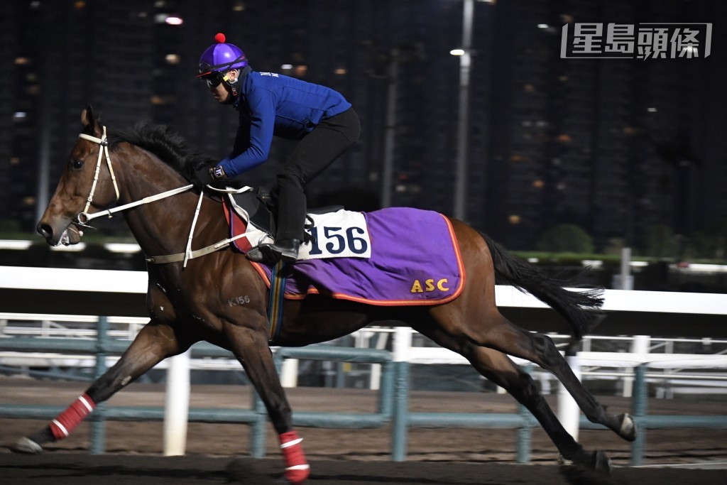 「奔放」昨朝早至六點已經進行試跑。