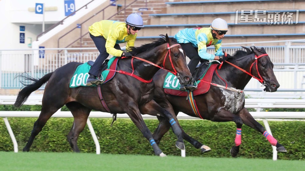 「金鑽貴人」(外)於周一(9月4日)的沙田試閘中以佳勢衝線。 「金鑽貴人」(外)於周一(9月4日)的沙田試閘中以佳勢衝線。