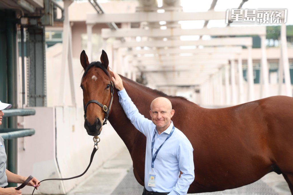 羅子達特別將八匹較具代表性的拍賣馬拉岀馬房，向傳媒介紹和供他們拍照，包括馬會購入價最高、達四百二十多萬元，岀自父系「遙遠星空」的九號馬。