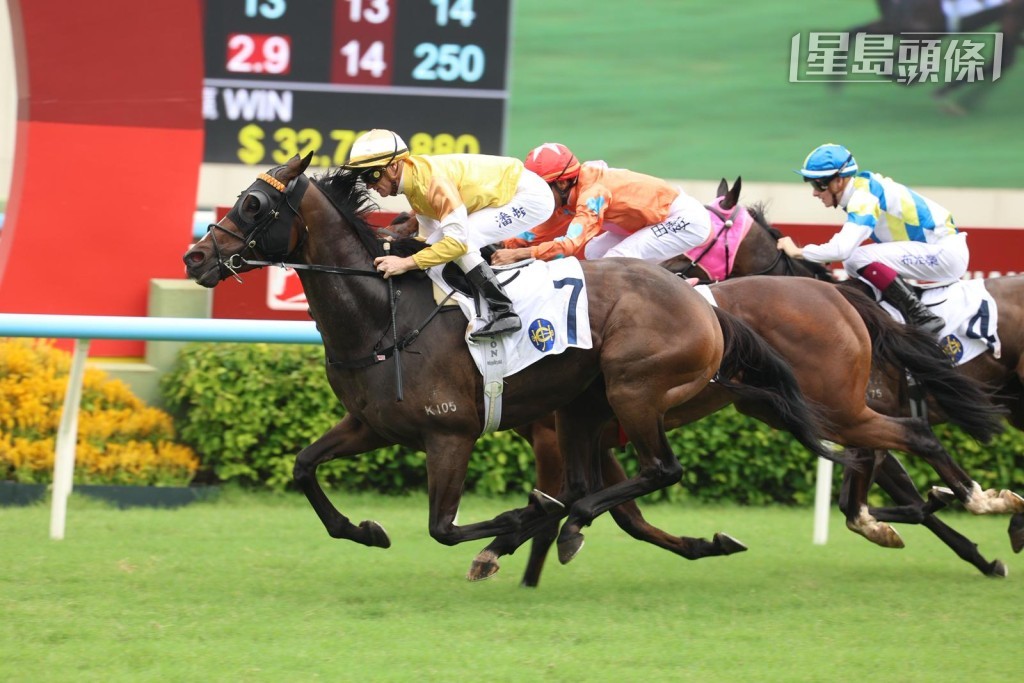 「鋁主角」同主馬「鋁神」(圖) 過往曾配潘頓贏馬。 「鋁主角」同主馬「鋁神」(圖) 過往曾配潘頓贏馬。
