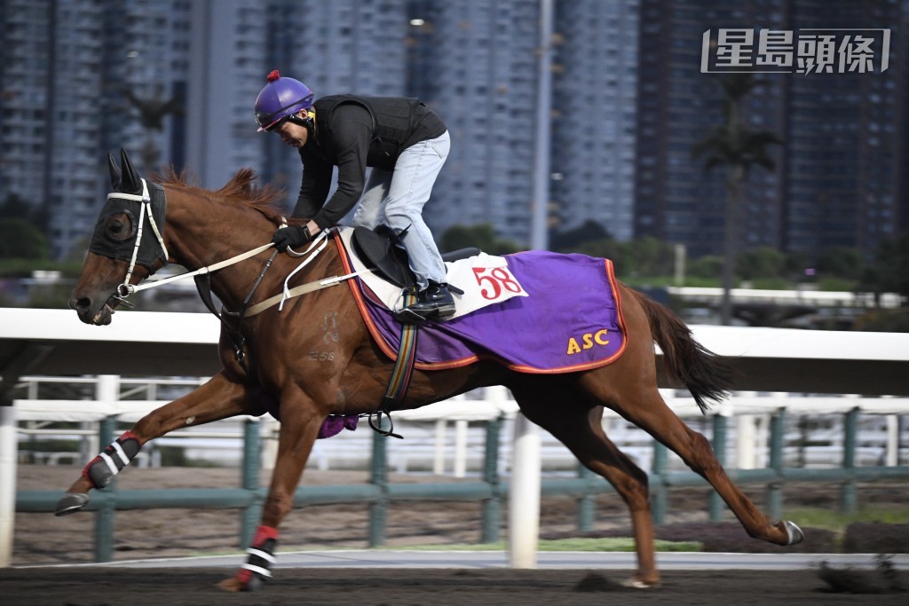 「美丽同享」戴头罩由副练跳两段，跳起来依然系威系势，神态活跃，老马保养出色。