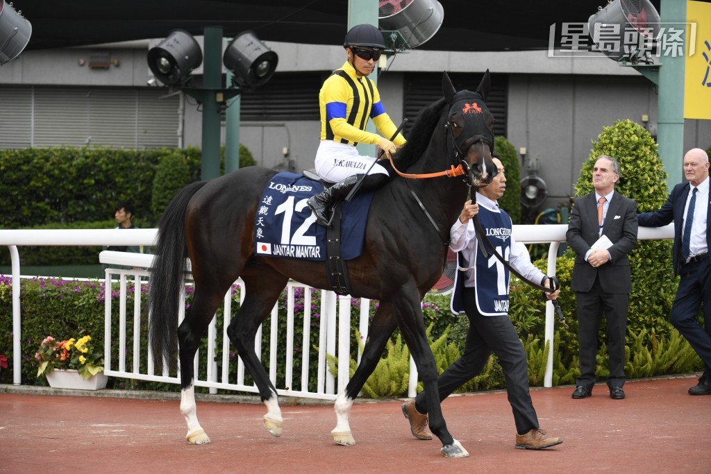 「远观天象」在日本先后赢出四场一级赛，今次将是其首次远征杜拜。