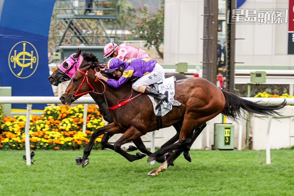 「驕陽明駒」已先後攻下香港經典一哩賽（1600米）及香港經典盃（1800米）(圖)。