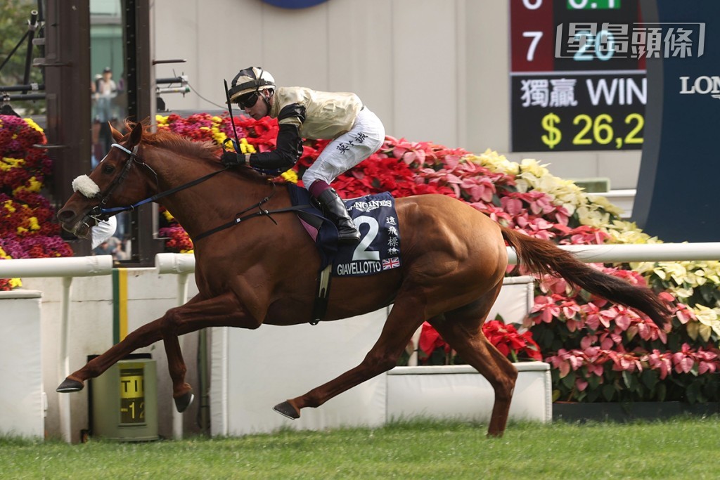 杜拜司马经典赛将有八驹列阵，包括去年全球最佳赛驹「格伦岛」、育马者杯草地大赛冠军「道德美钻」，此赛前盟主「桀骜之恋」和上届香港瓶冠军「远飞标枪」(图) 等。