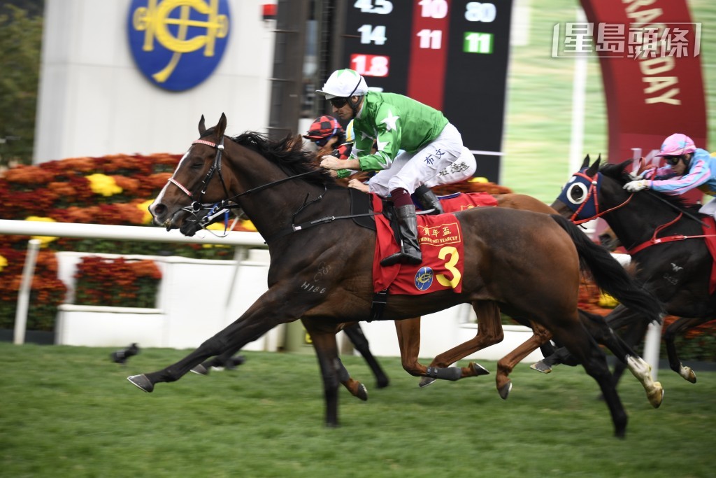 「堅又威」今季取得三場頭馬，表現出色。