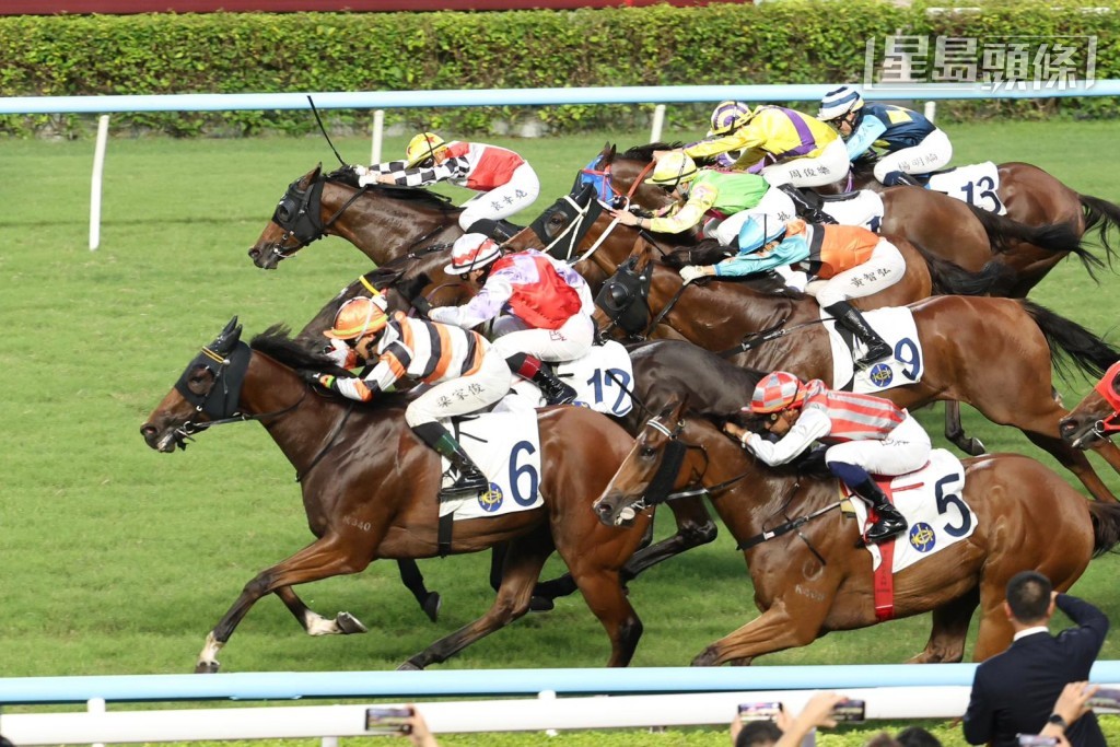 七一沙田赛事,郑俊伟旗下的「团结勇士」(6号) 于梁家俊胯下胜出三班直路赛,捧走粤港杯。前五名马相差只一个马位之距,可见战况激烈。 七一沙田赛事,郑俊伟旗下的「团结勇士」(6号) 于梁家俊胯下胜出三班直路赛,捧走粤港杯。前五名马相差只一个马位之距,可见战况激烈。