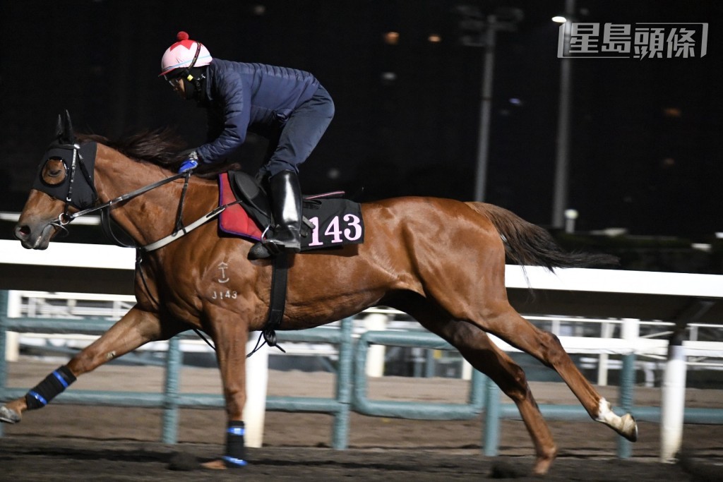 「飛輪霸」（k320)、「時間寶」(h403)和「日馳千里」(j143) (圖) 今早齊齊在大圈出試。