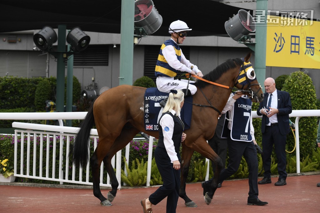 「港邊小區」曾在多個不同國家出賽，經驗相當豐富，所以即使舟車勞頓，馬兒沒有出現疲態，抵步後亦食慾正常，適態環境甚快。