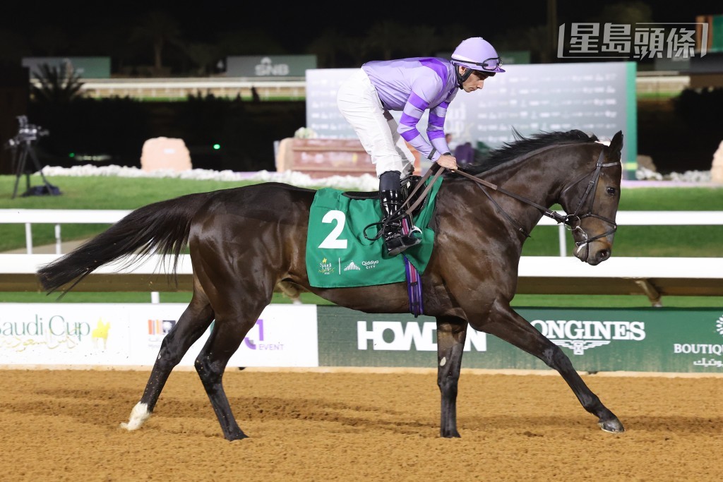 現年四歲的「北美勇族」(圖) 是「活頓鎮」的子嗣，迄今十一仗兩捷，去年於皇家雅士谷賽期的澤西錦標（1400米三級賽）中跑入位置。