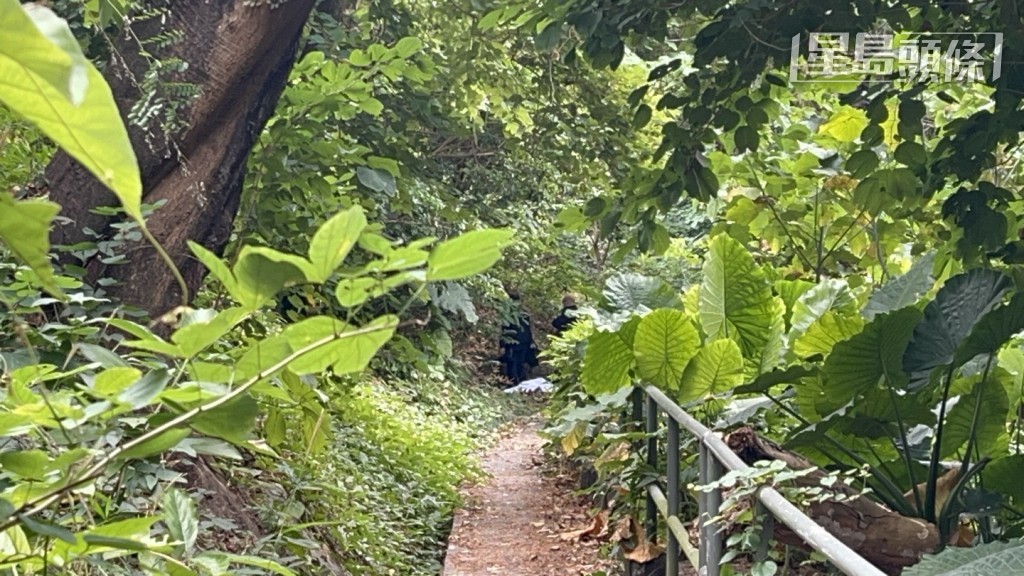 男子在世界花園對落山坡的一棵樹上吊亡。楊偉亨攝 男子在世界花園對落山坡的一棵樹上吊亡。楊偉亨攝